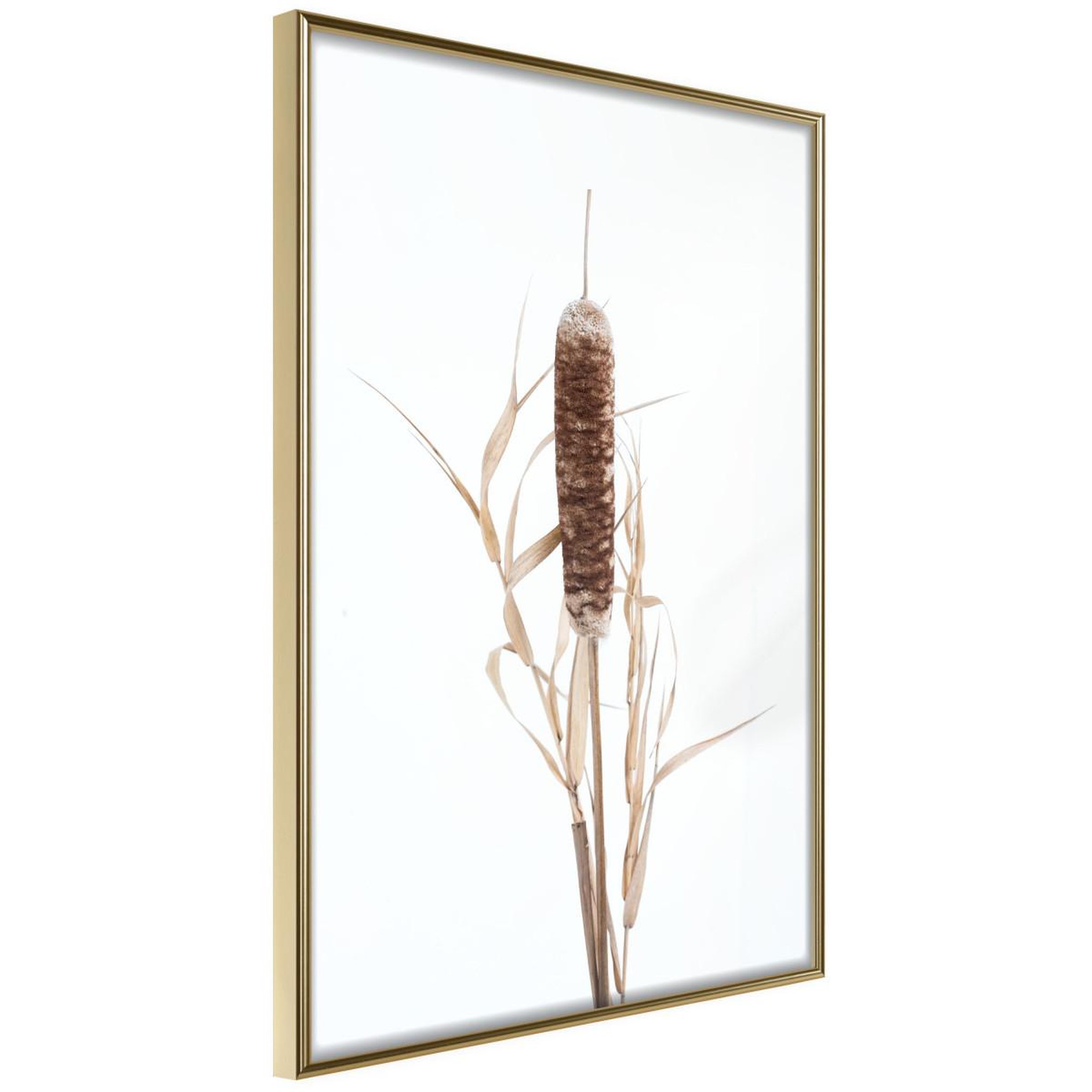 Voir la diapositive 1 : Paris Prix Affiche Murale Encadrée  Typha