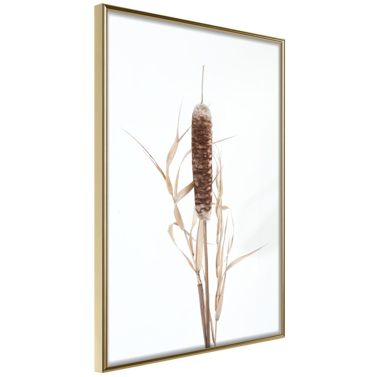 Paris Prix Affiche Murale Encadrée  Typha