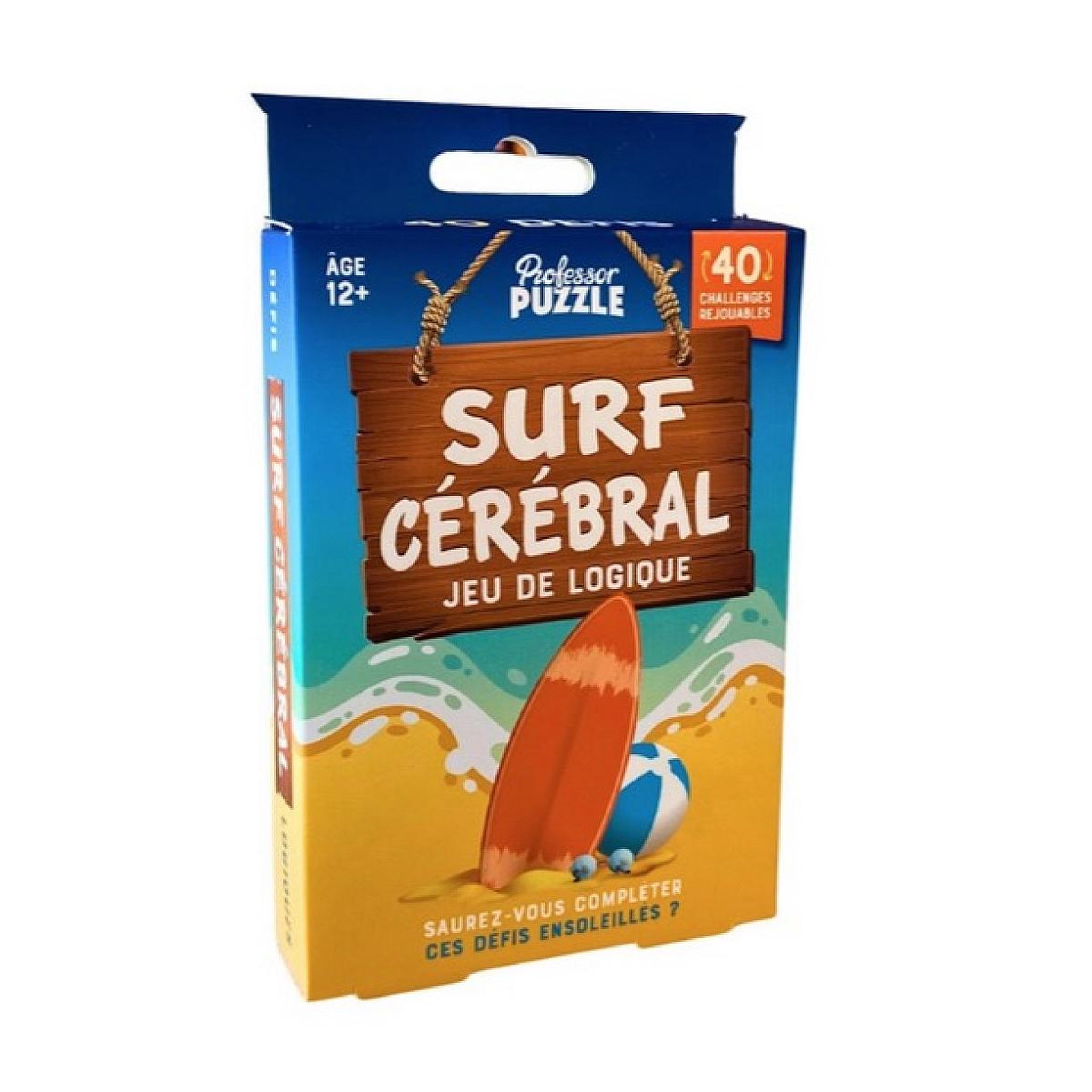 Professor Puzzle Surf Cerebral - jeu de casse tete