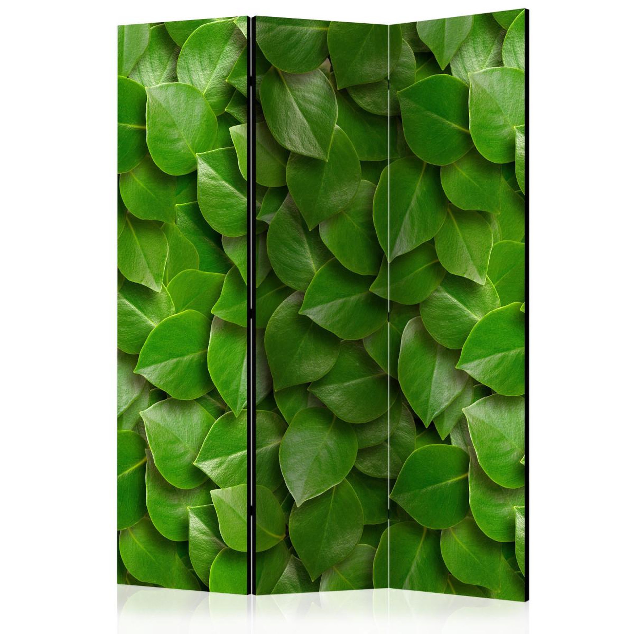 Paris Prix Paravent 3 volets  secret garden ii  135x172cm