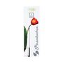 Voir la diapositive 2 : ATMOSPHERA Vase Cylindrique  Flora  26cm Transparent