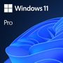 Voir la diapositive 2 : MICROSOFT Microsoft Windows 11 Pro Lizenz 1 Lizenz OEM DVD (FQC-10528) (FQC10528)