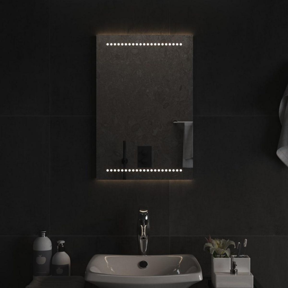 VIDAXL Miroir de salle de bain a LED 40x60 cm