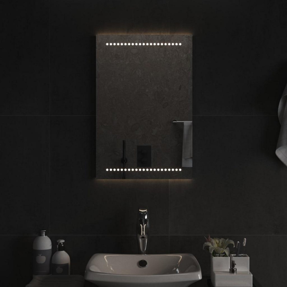 VIDAXL Miroir de salle de bain a LED 40x60 cm