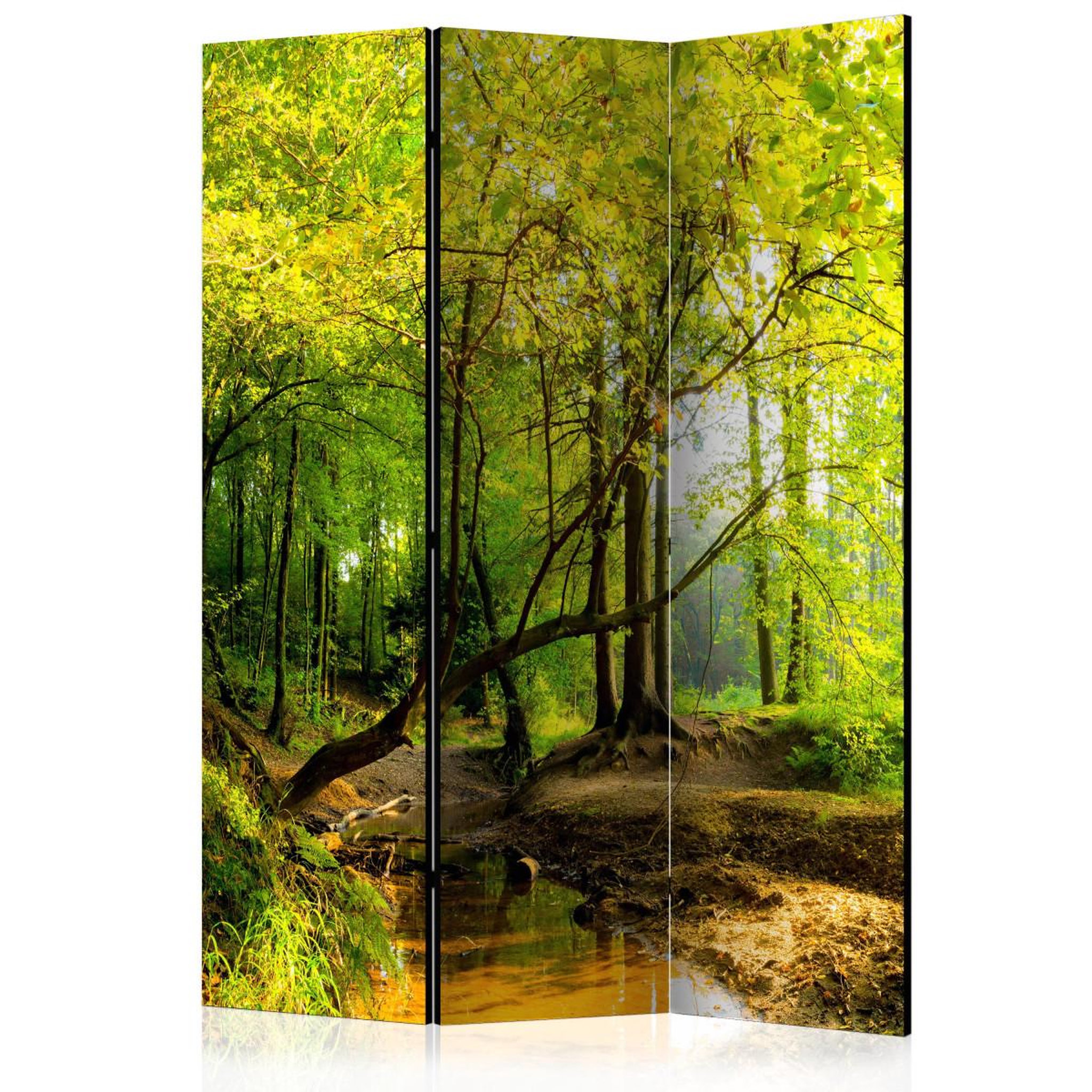 Paris Prix Paravent 3 Volets  Forest Clearing  135x172cm