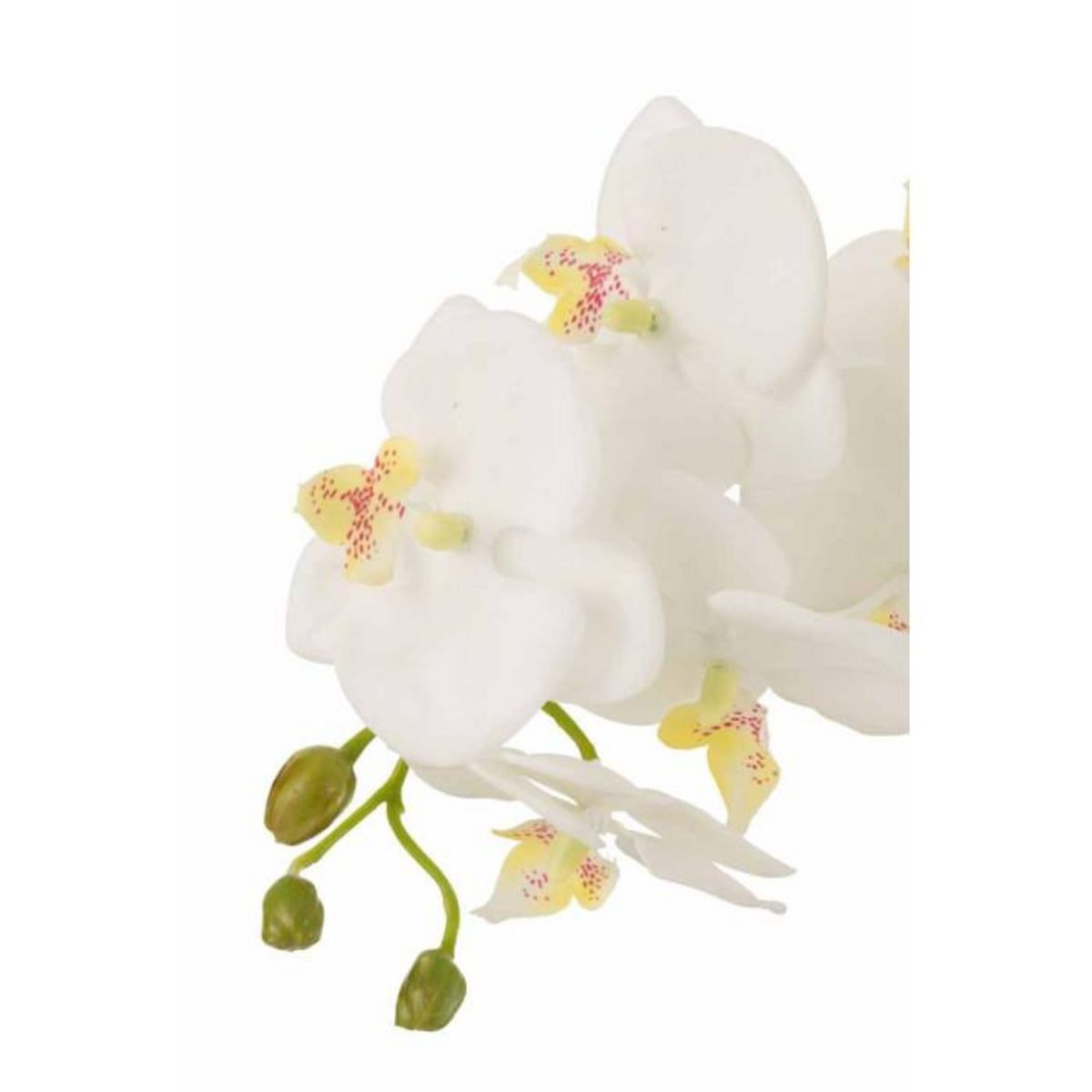 Paris Prix Fleur Artificielle Déco  Orchidée en Terre  72cm Blanc