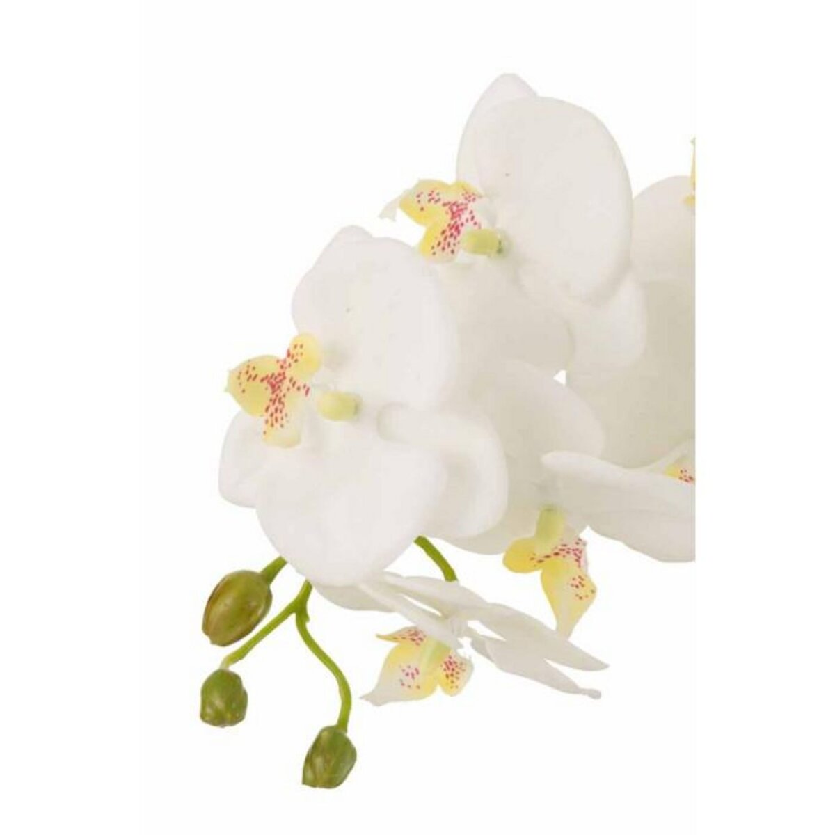 Paris Prix Fleur Artificielle Déco  Orchidée en Terre  72cm Blanc