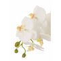 Voir la diapositive 2 : Paris Prix Fleur Artificielle Déco  Orchidée en Terre  72cm Blanc