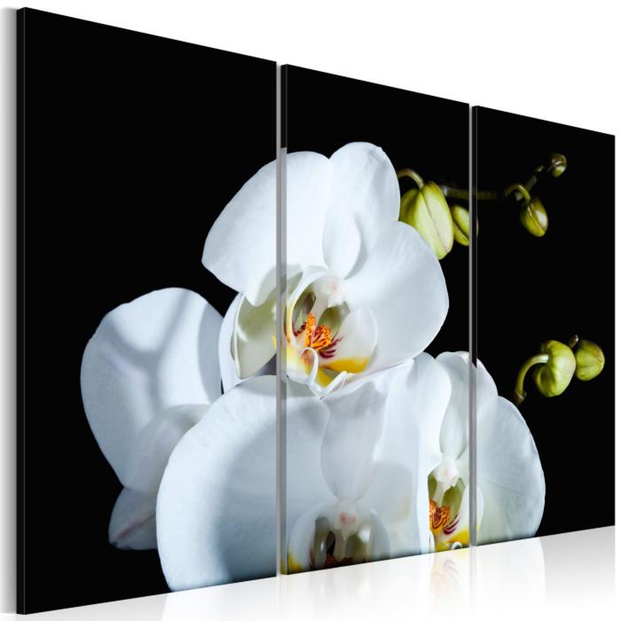 Paris Prix Tableau Imprimé  Orchidée Blanche Comme Neige. Coloris disponibles : Multicolore