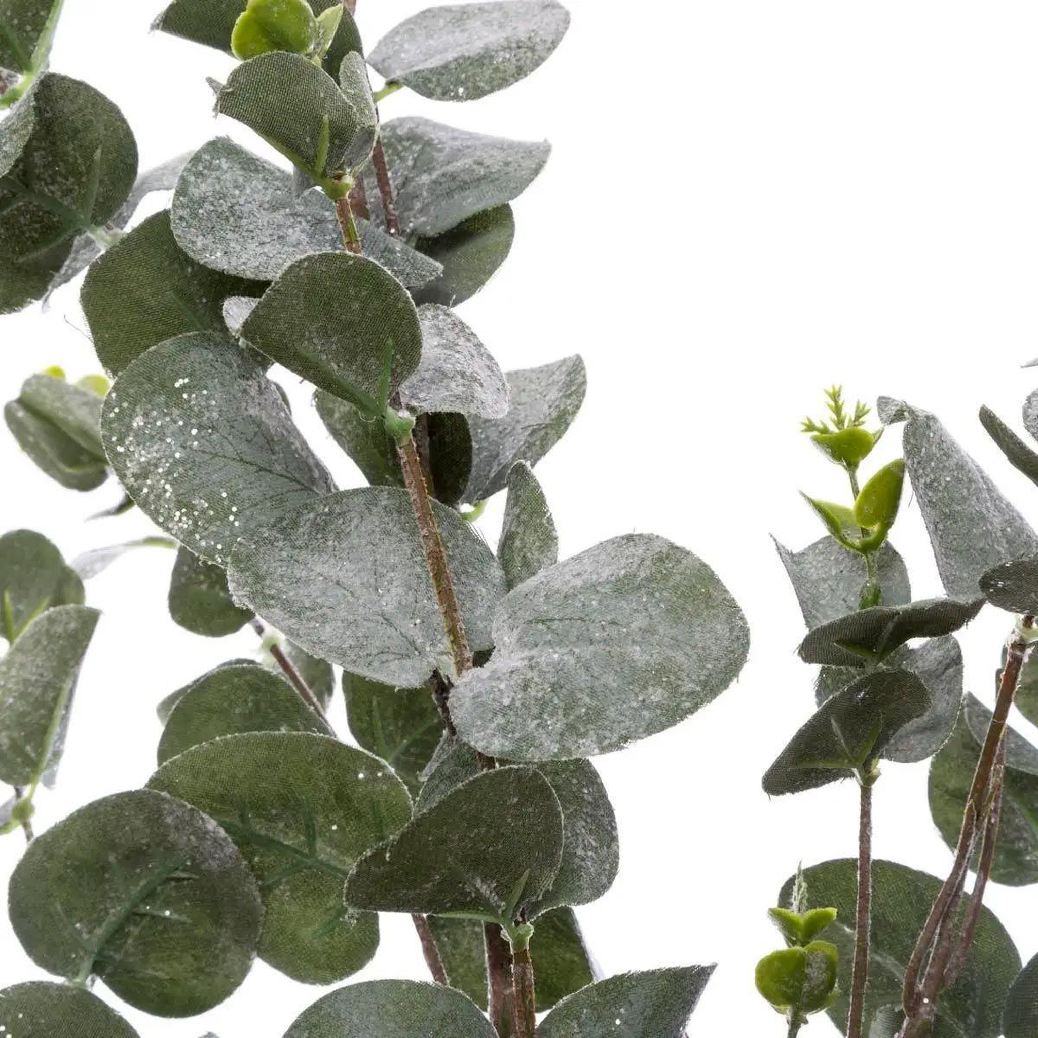 Voir la diapositive 2 : ATMOSPHERA Branche d'eucalyptus  génération vintage  98cm vert