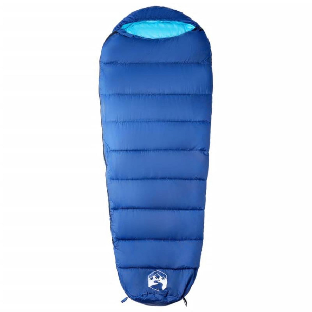 VIDAXL Sac de couchage momie pour adultes camping 3 saisons