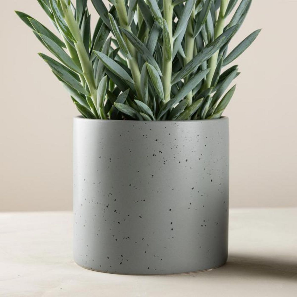 Paris Prix Pot Déco en Céramique  Sane  18cm Gris Foncé