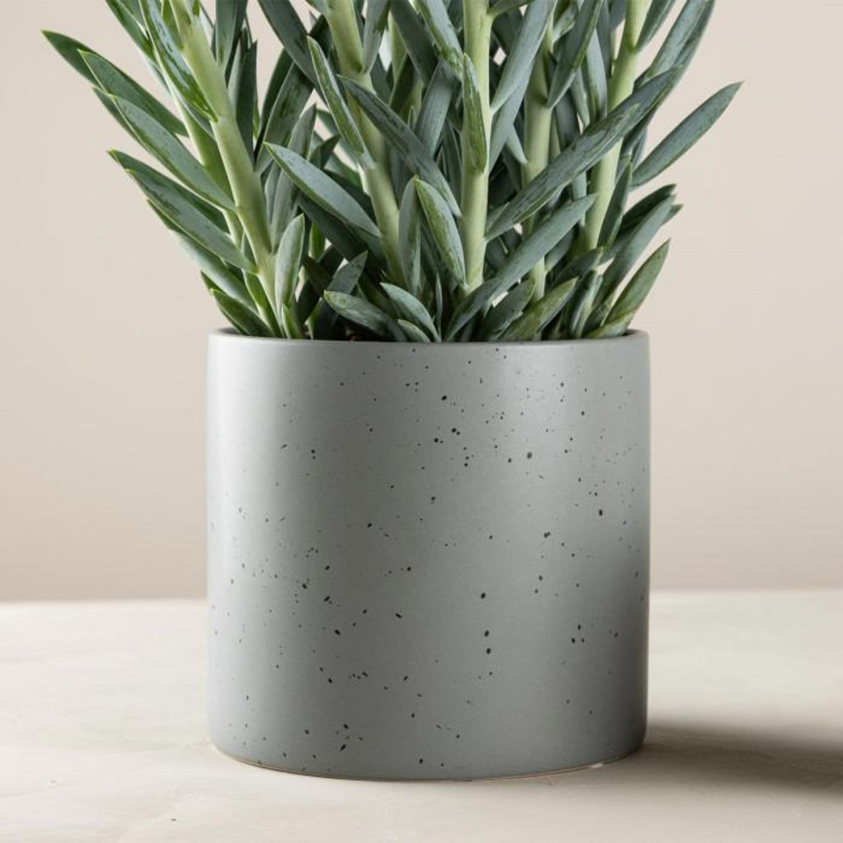 Paris Prix Pot Déco en Céramique  Sane  18cm Gris Foncé