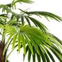 Voir la diapositive 2 : ATMOSPHERA Plante Artificielle Déco  Palmier  180cm Vert