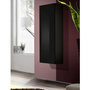 Voir la diapositive 1 : Paris Prix Vitrine Murale Design  Fly I  126cm Noir