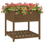 Voir la diapositive 4 : VIDAXL Jardiniere avec etagere Marron miel 82,5x82,5x81 cm Bois de pin