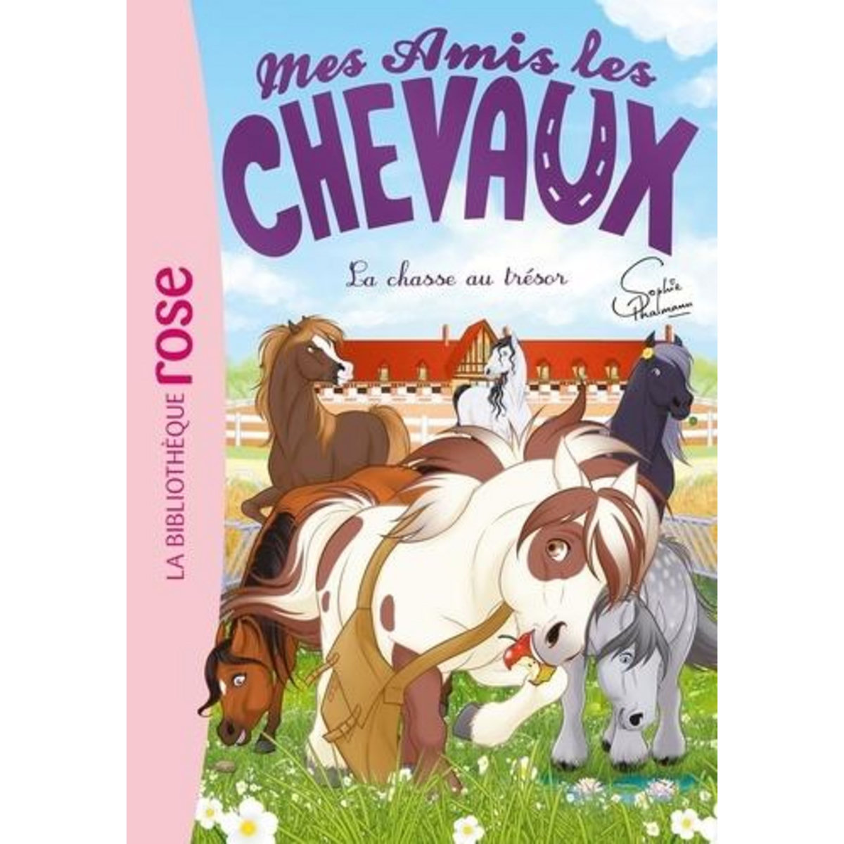 MES AMIS LES CHEVAUX TOME 39 : LA CHASSE AU TRESOR, Thalmann Soumillon Sophie
