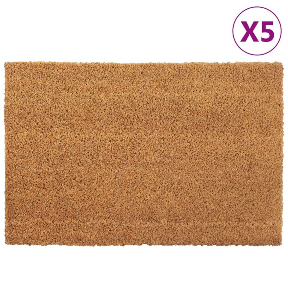 VIDAXL Tapis de porte 5 pcs naturel 40x60 cm fibre de coco touffete
