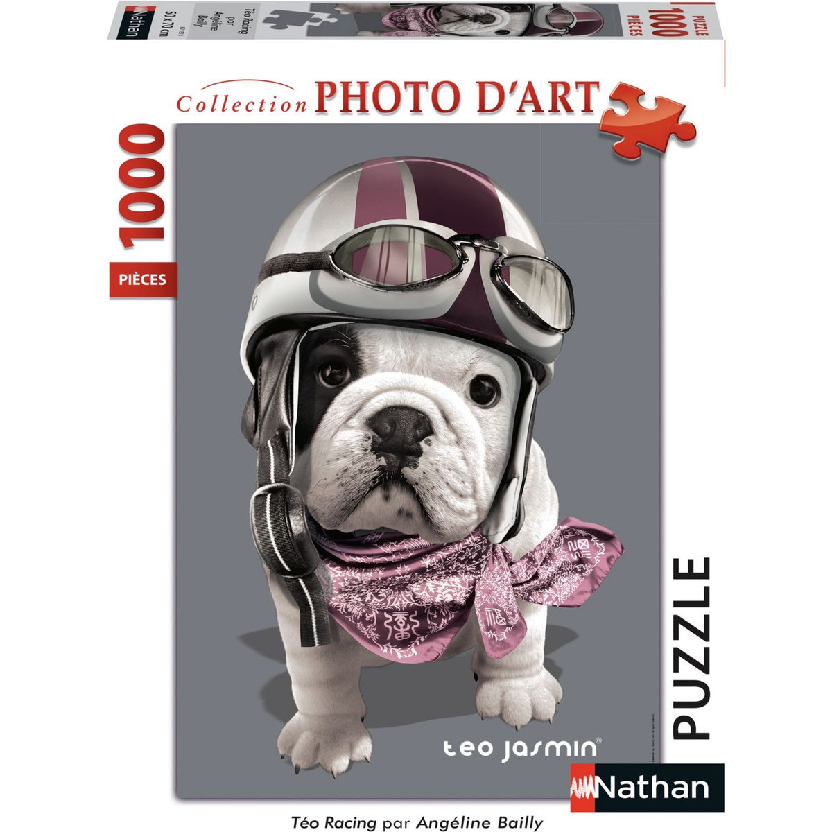 RAVENSBURGER Puzzles 1000 pièces Nathan Collection