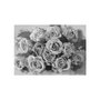 Voir la diapositive 2 : Paris Prix Papier Peint  A Dozen Roses