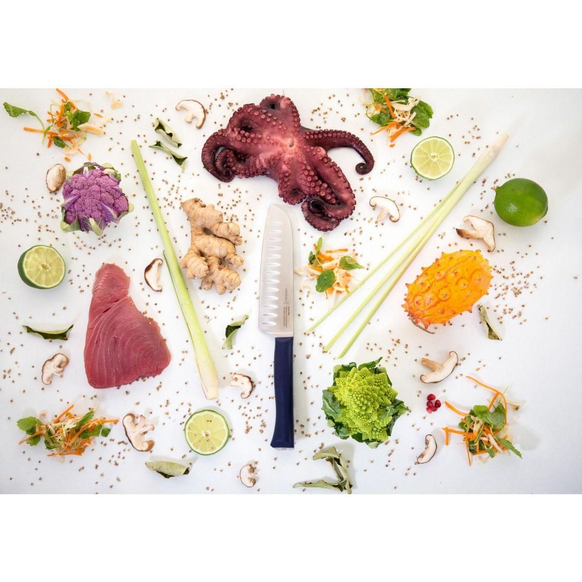 Opinel Couteau japonais Intempora No219