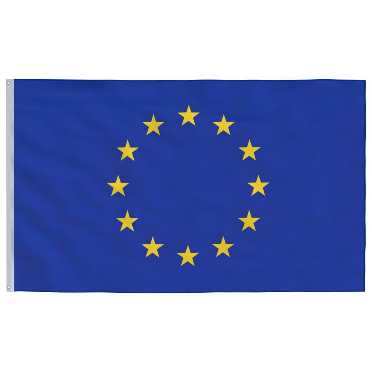 VIDAXL Drapeau de l'Europe et mat 6,23 m Aluminium