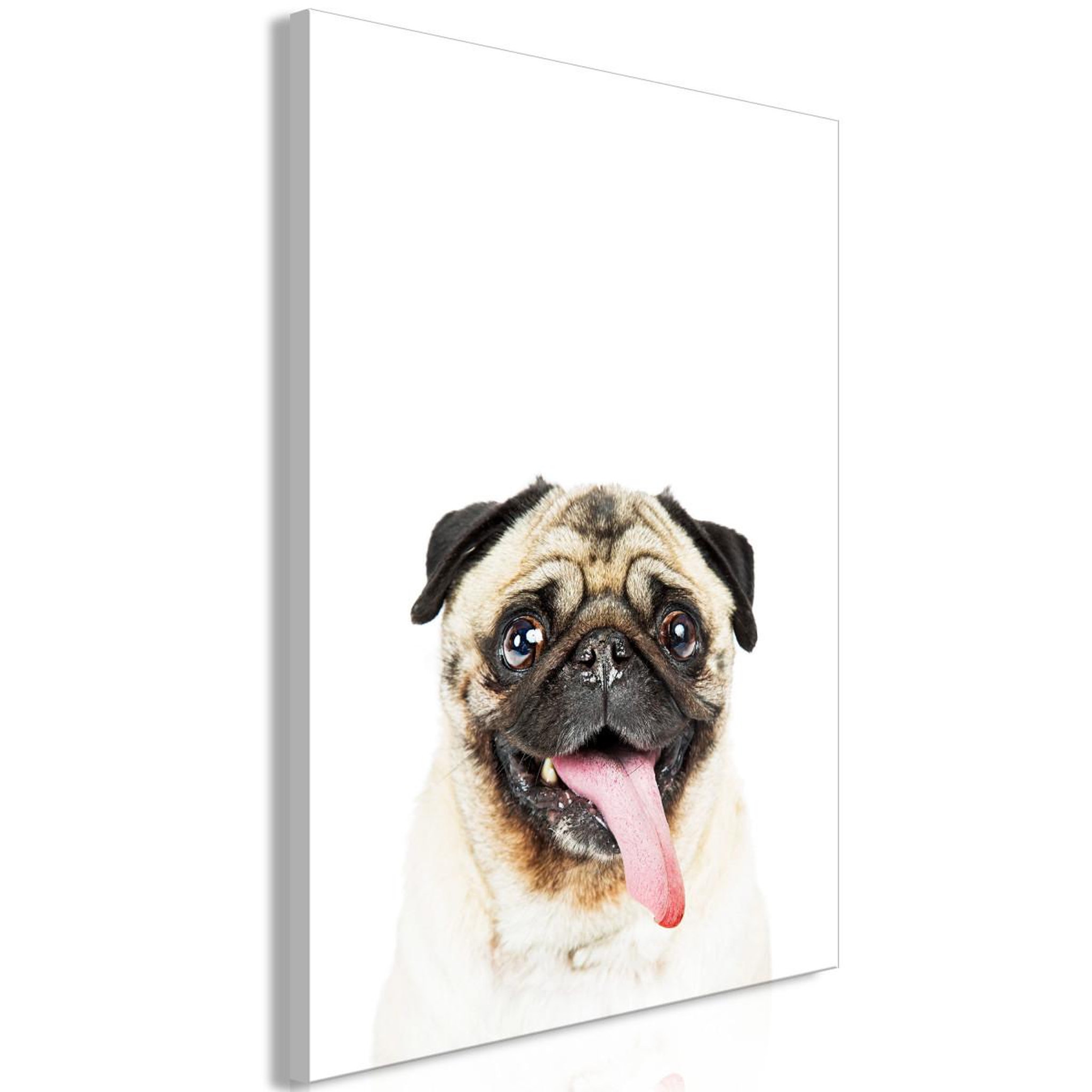 Paris Prix Tableau imprimé  pug. Coloris disponibles : Multicolore