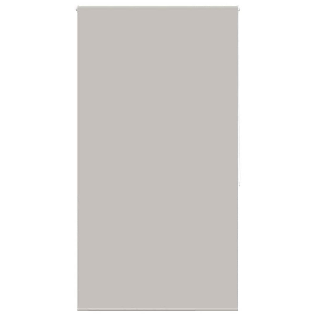 VIDAXL Store enrouleur de douche 140x240 cm largeur du tissu 136 cm