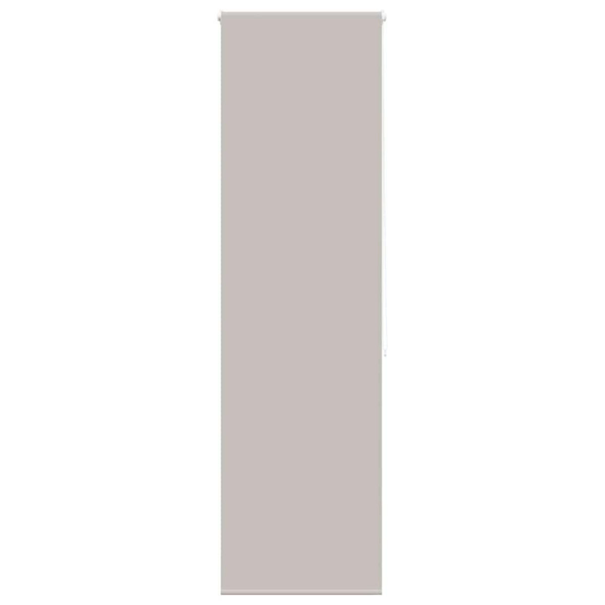 VIDAXL Store enrouleur de douche 60x240 cm largeur du tissu 56 cm