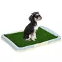 PAWHUT Litière gazon synthétique chien toilette portable à pelouse tiroir à déjection dim. 63L x 48l x 6H cm