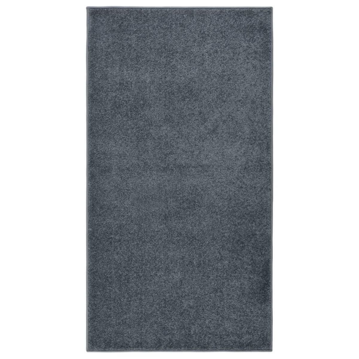 VIDAXL Tapis a poils courts 80x150 cm Anthracite