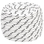 VIDAXL Corde de bateau tresse Blanc 12 mmx100 m Polyester