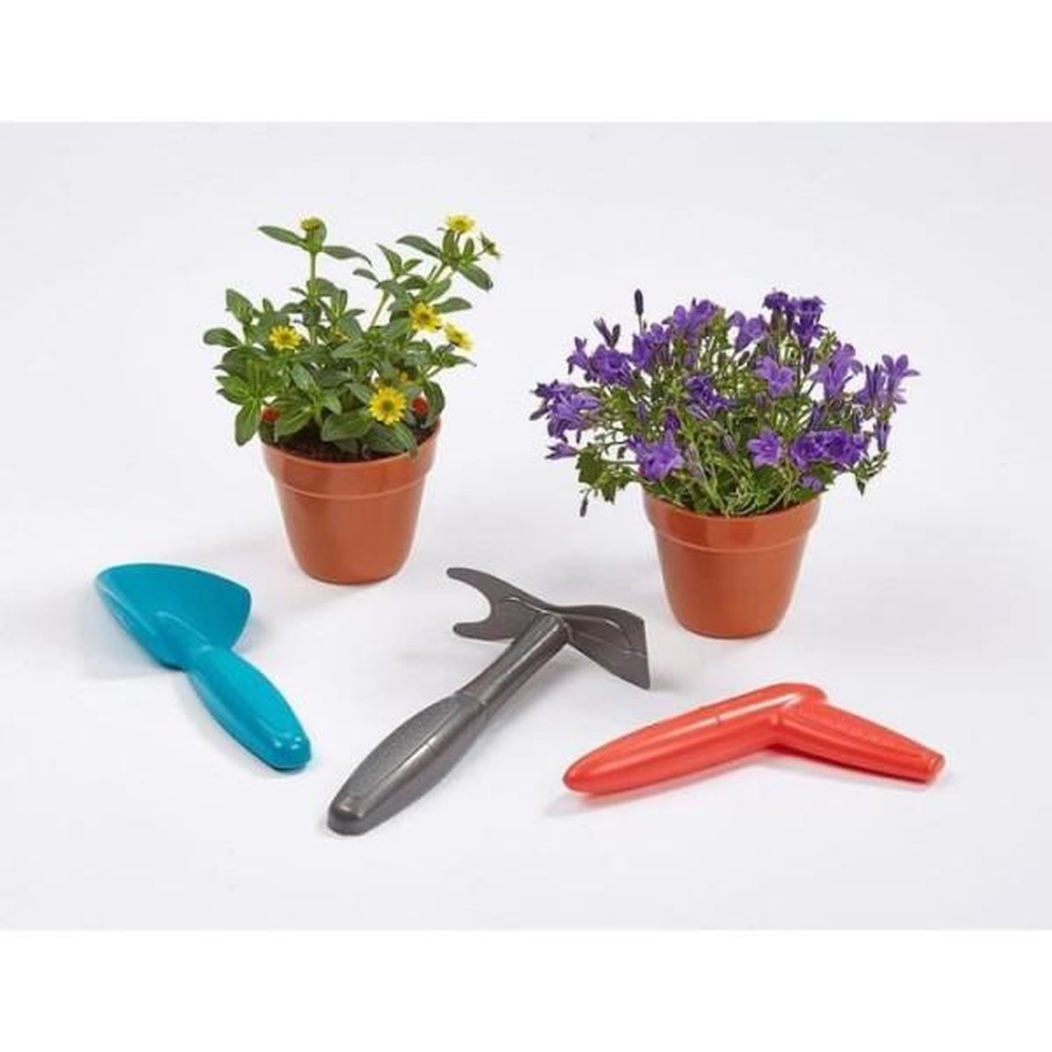 Voir la diapositive 2 : Ecoiffier Ecoiffier La jardiniere garnie 31 cm 4290