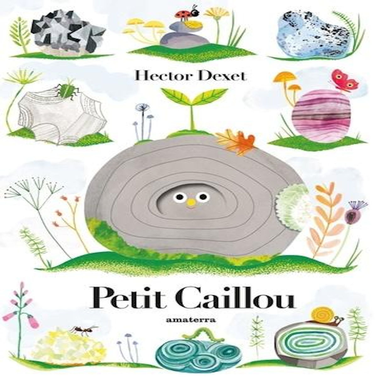 PETIT CAILLOU, Dexet Hector