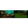 Voir la diapositive 6 : Spyro Reignited Trilogy Xbox One