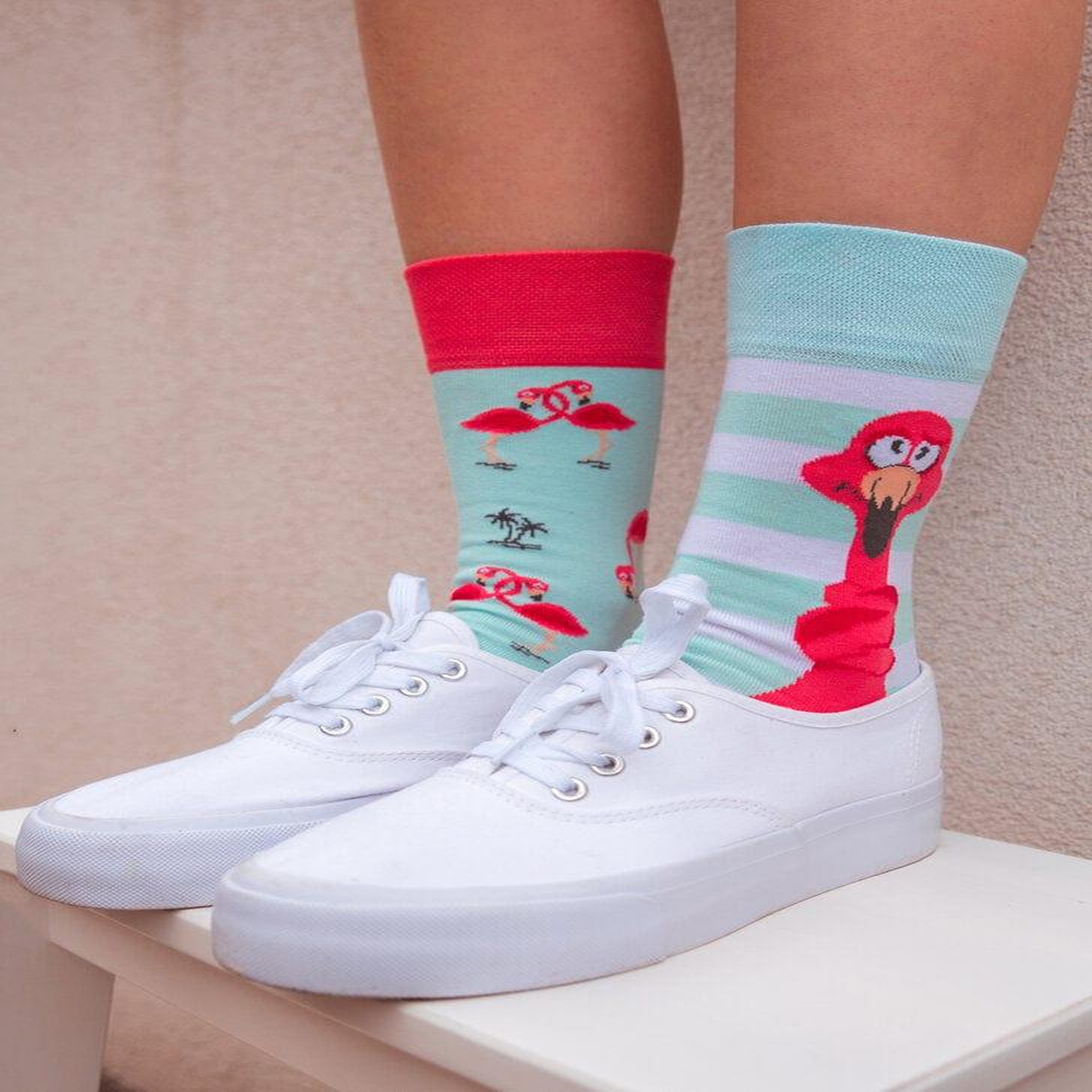 Voir la diapositive 5 : DEDOLES Chaussettes nœuds de flamants