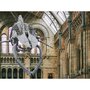 Smartbox Visite guidée du musée d'histoire naturelle de Londres en duo - Coffret Cadeau Sport & Aventure