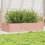 Voir la diapositive 1 : VIDAXL Jardiniere 110x60x23 cm bois massif de douglas