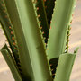 Voir la diapositive 5 : OUTSUNNY Plante artificielle agave H.90 cm 16 feuilles tronc grand réalisme pot inclus