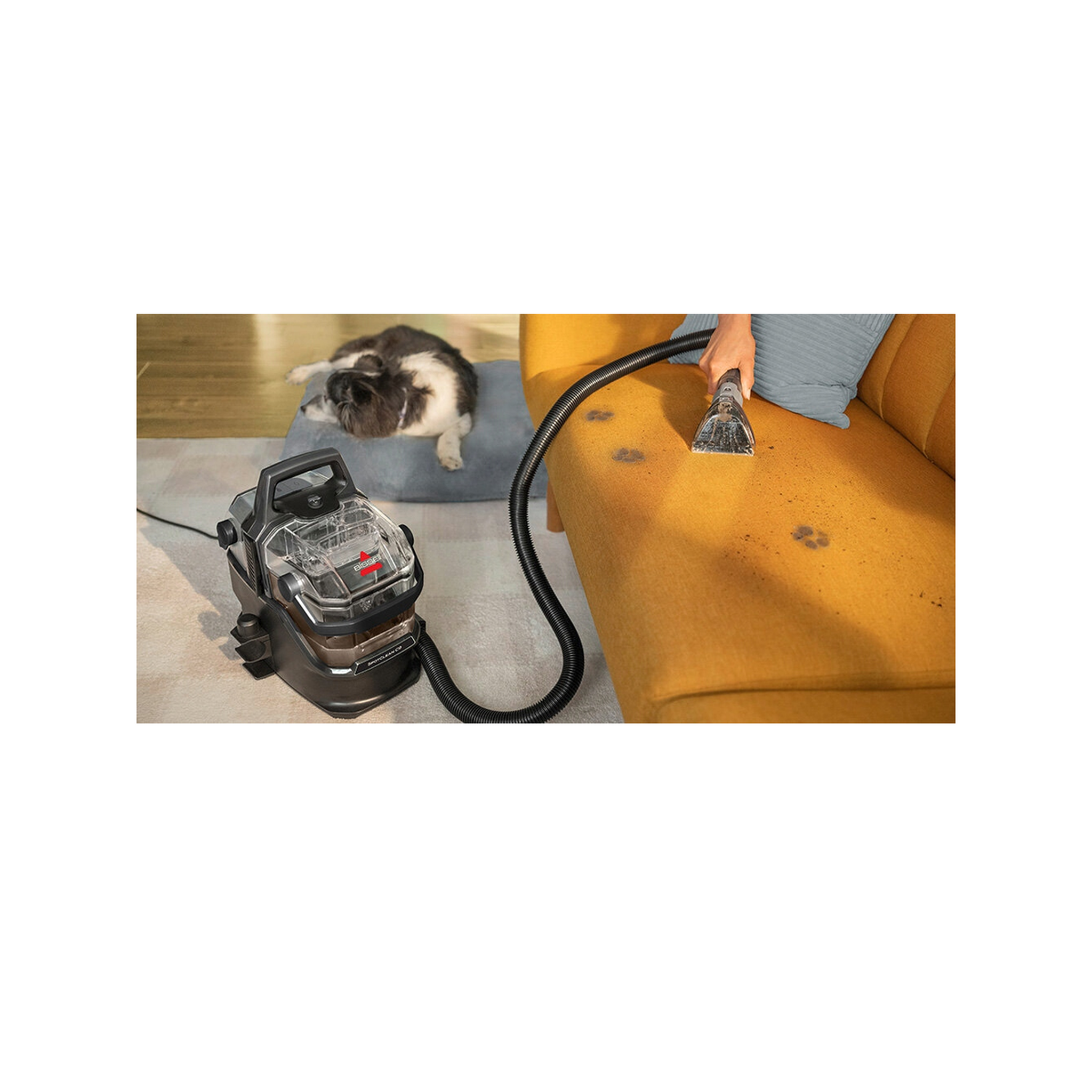 Voir la diapositive 5 : BISSELL nettoyeur de tapis portable SpotClean C9 Pro 1.7l
