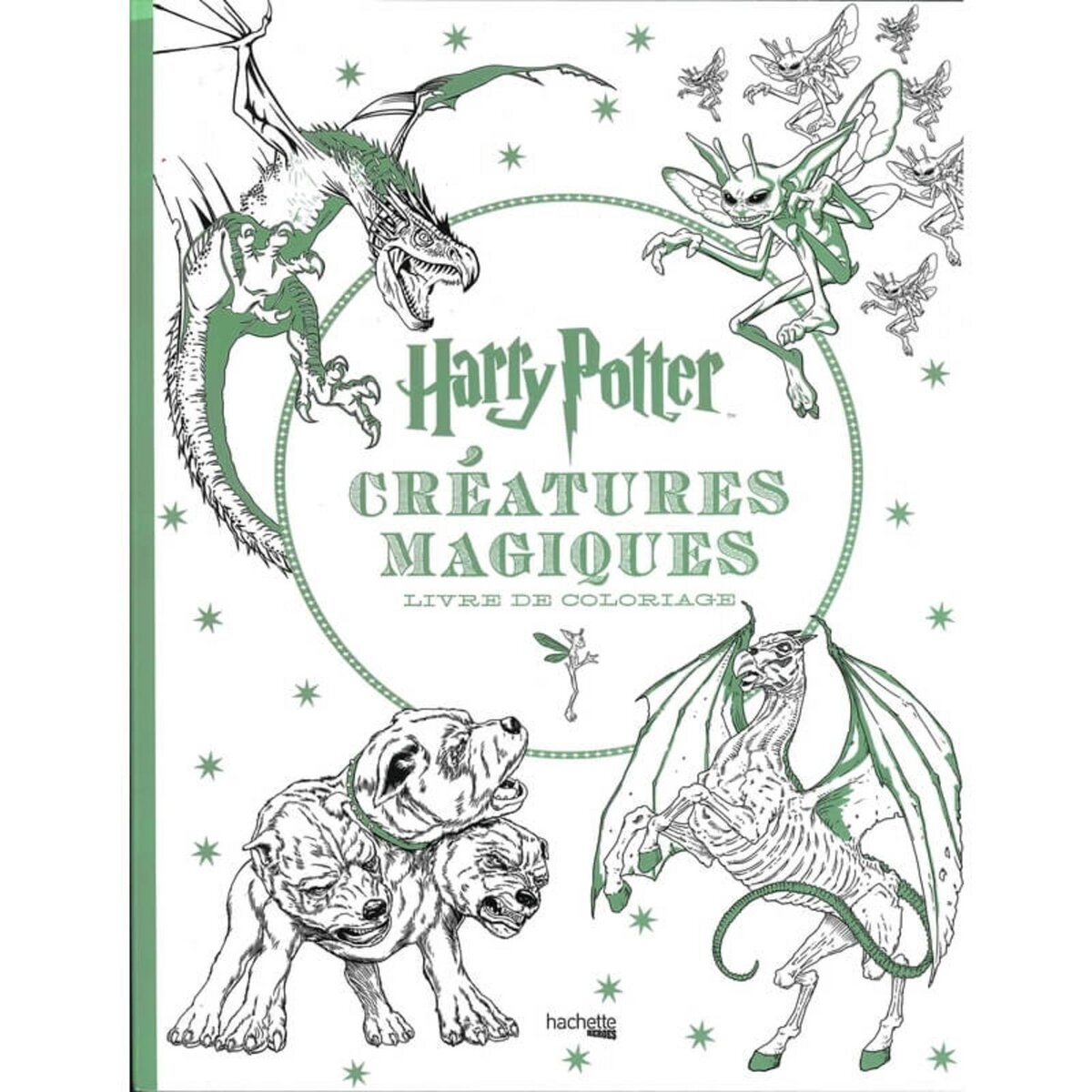 Hachette jeunesse Harry Potter créatures magiques