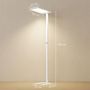 Voir la diapositive 3 : HOMCOM Lampadaire LED dimmable sur pied de bureau 1560LM 40W H.196cm spectre complet réglable télécommande blanc