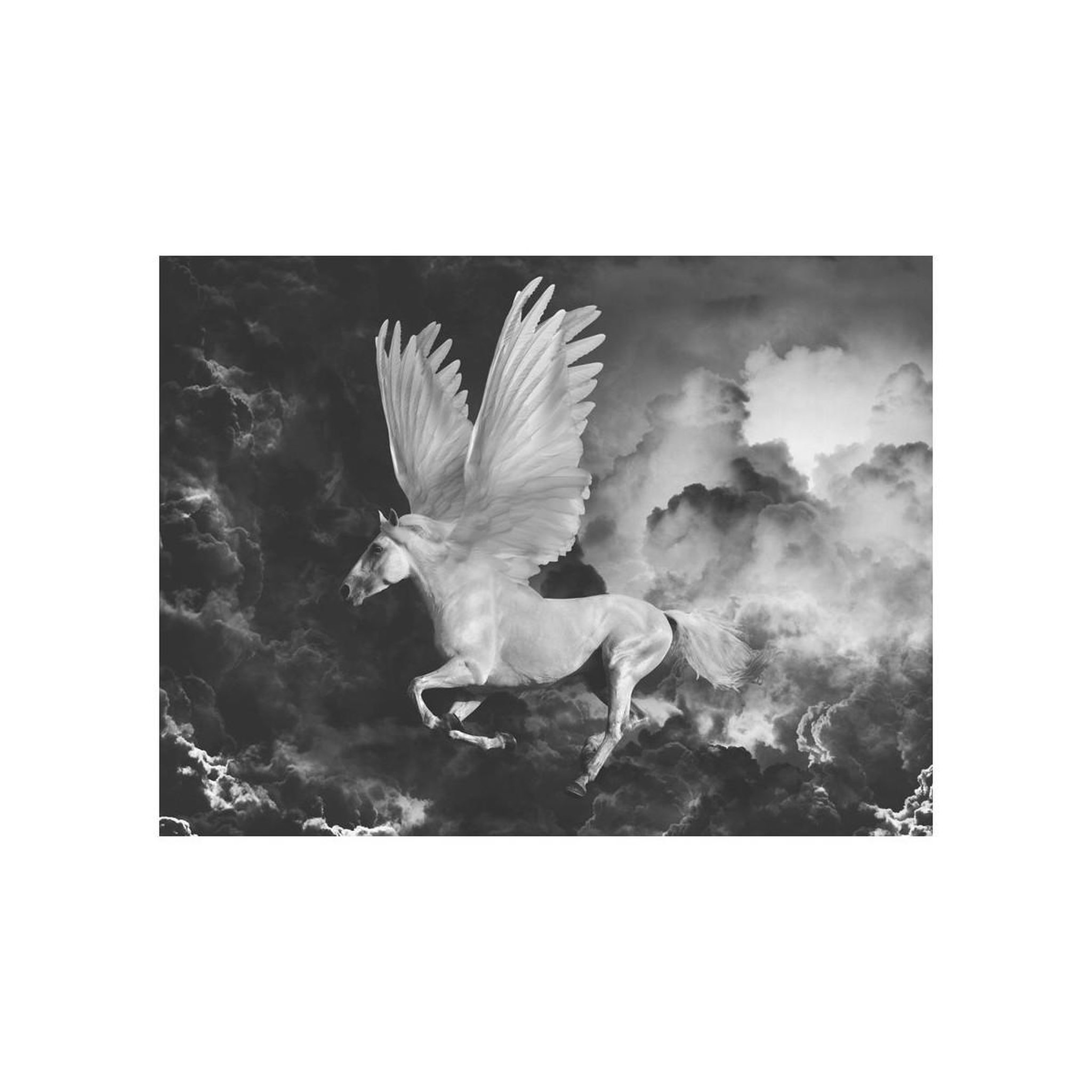 Voir la diapositive 2 : Paris Prix Papier Peint  Pegasus sur le Chemin de l'Olympe