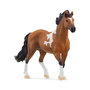 Voir la diapositive 1 : Schleich 13978 Etalon mangalarga marchador