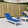 Voir la diapositive 1 : VIDAXL Coussin de chaise de terrasse bleu royal (75+105)x50x4 cm