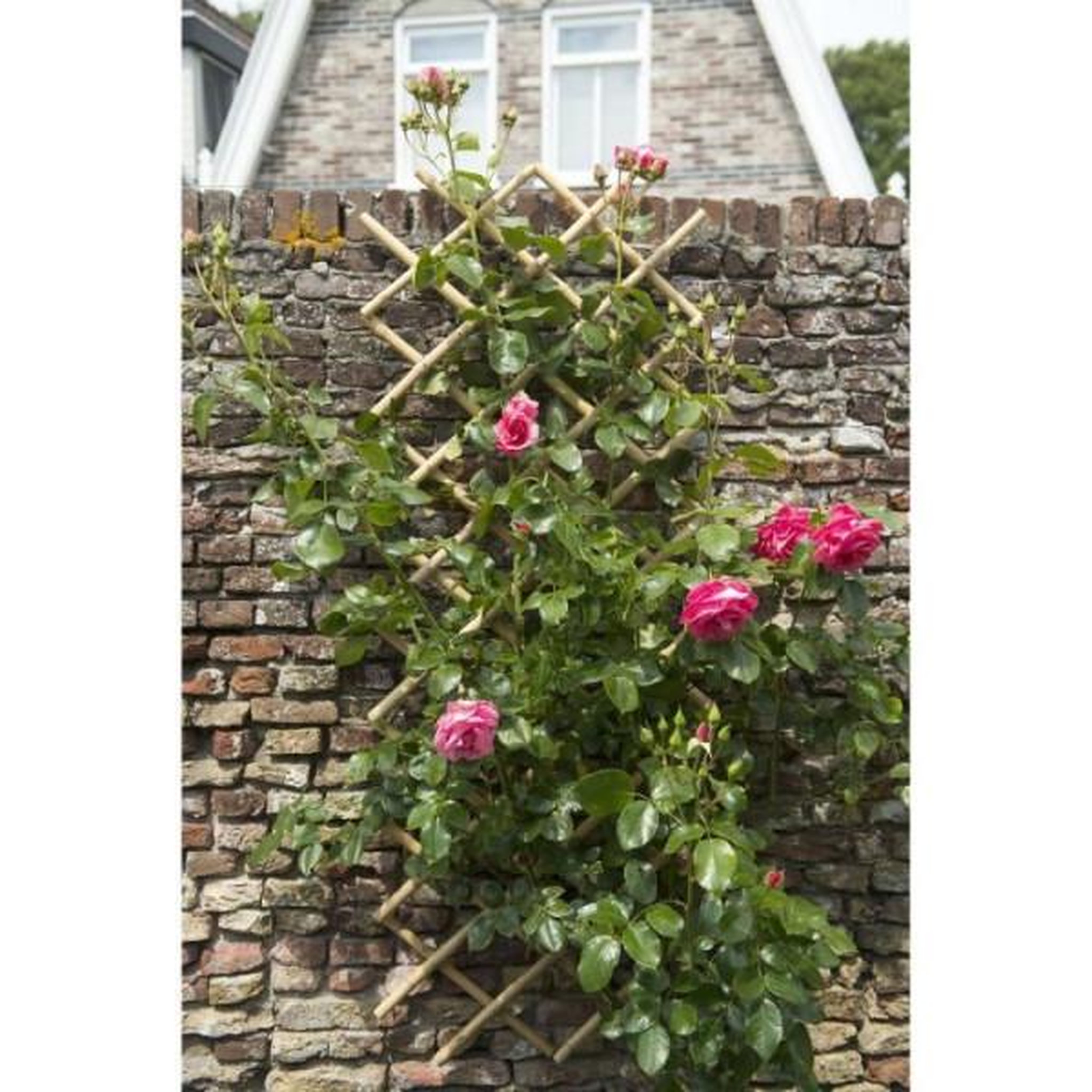 Voir la diapositive 3 : NATURE Treillis extensible - NATURE - En bambou - 45 x 180 cm