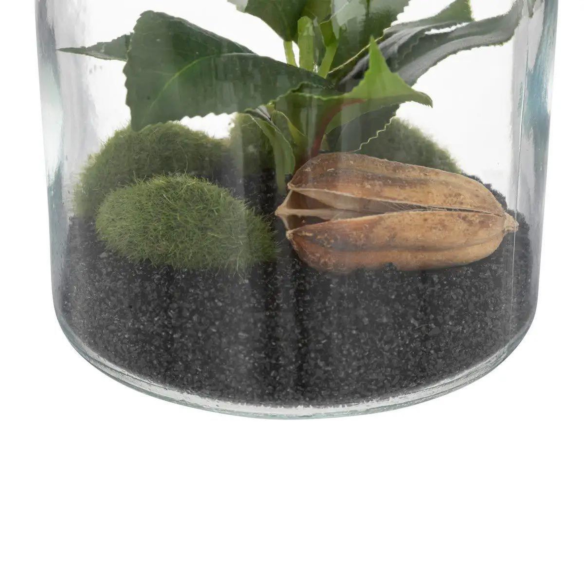 Voir la diapositive 3 : ATMOSPHERA Terrarium en verre  bota  19cm transparent