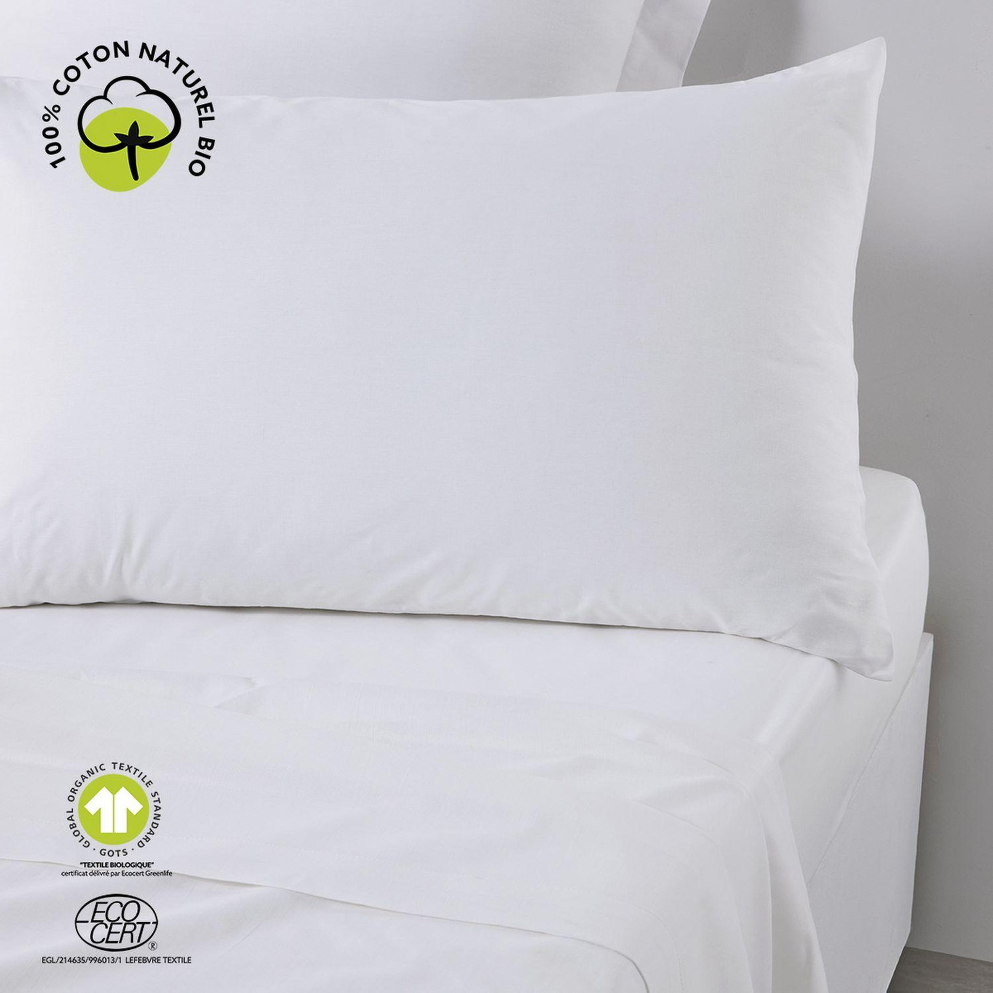Voir la diapositive 2 : Today Taie d'oreiller rectangulaire - 100% coton BIO