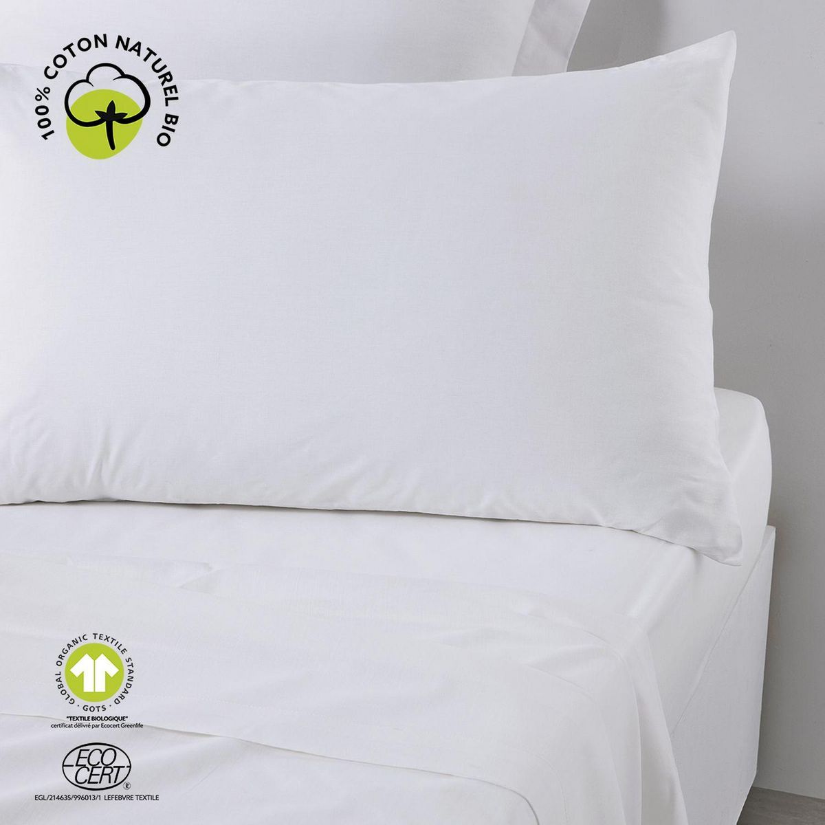 Today Taie d'oreiller rectangulaire - 100% coton BIO