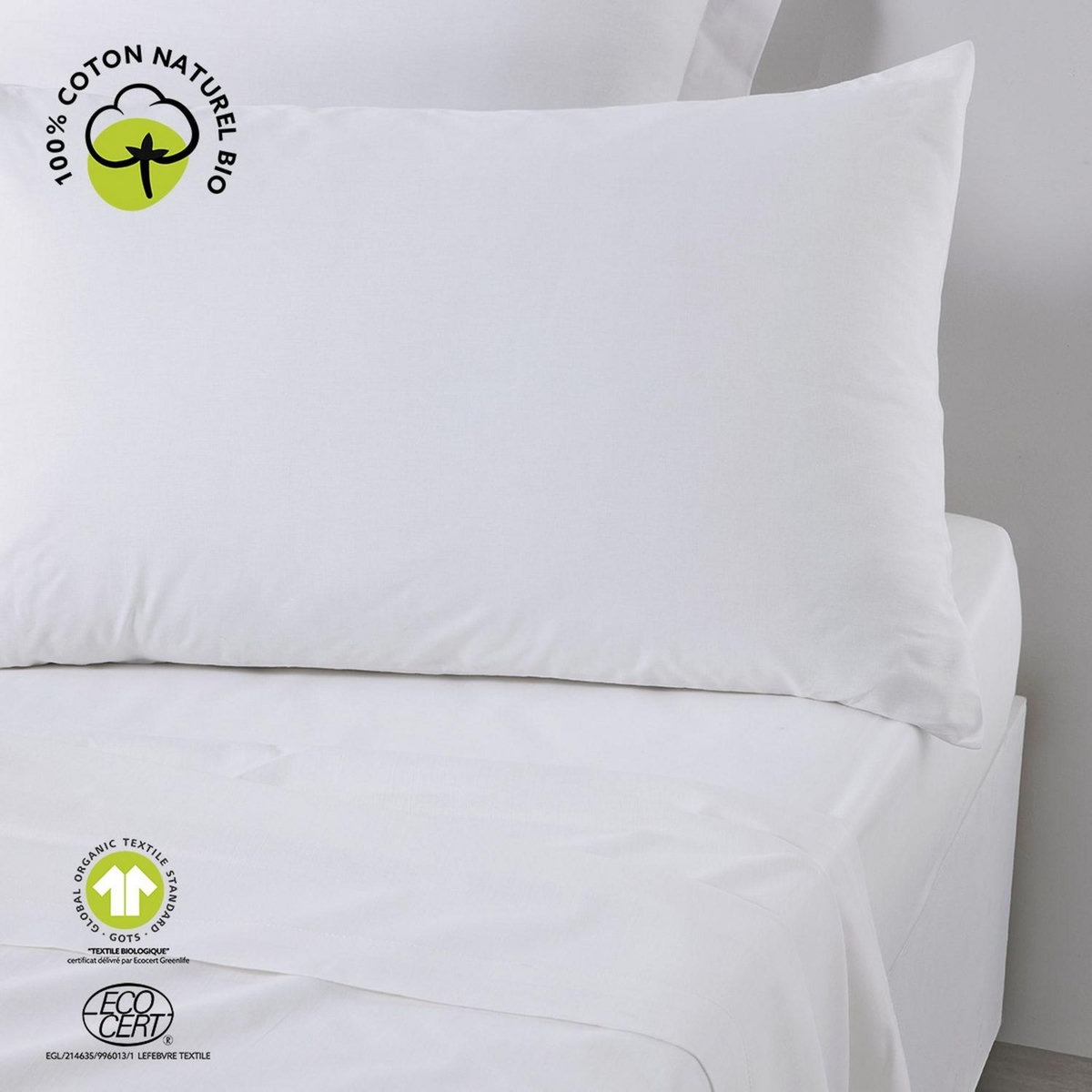 Today Taie d'oreiller rectangulaire - 100% coton BIO